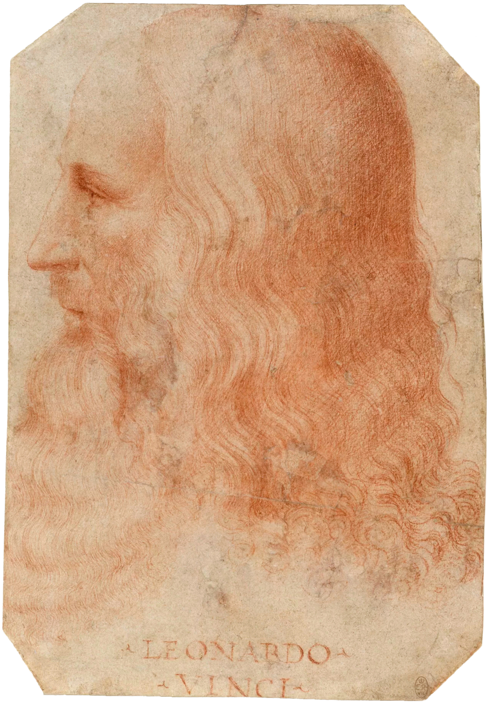 Portrait of Da Vinci