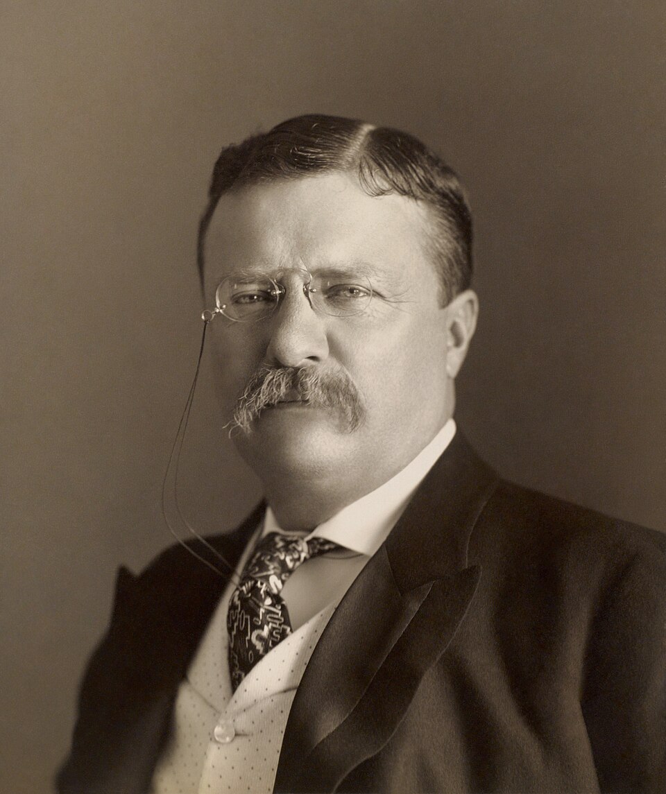 Portrait of Roosevelt